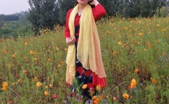 白熊杯子历险记